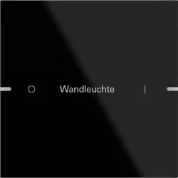 Gira 503105 Wippenset 1-fach individuell Tastsensor4 TS4 Glas Schwarz