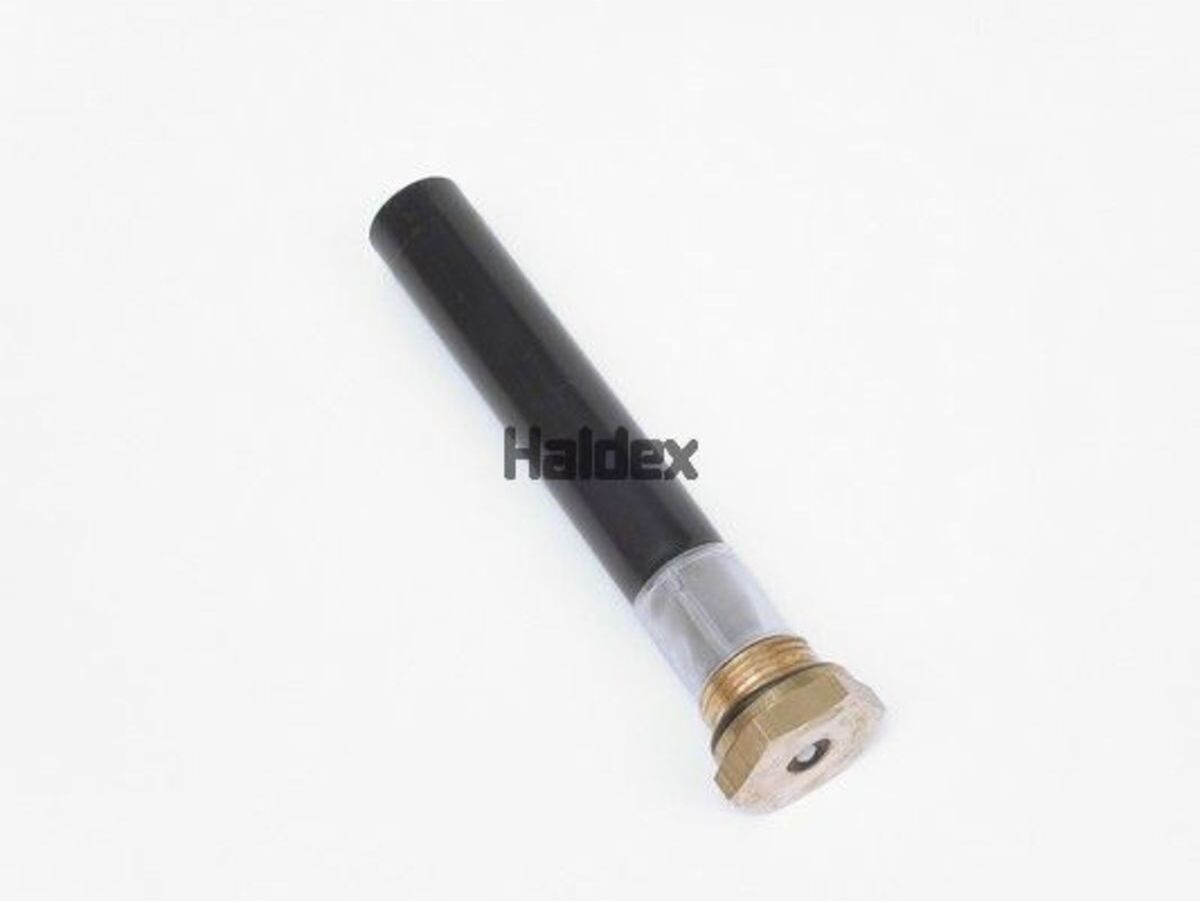 Haldex Valvola di scarico 315016021