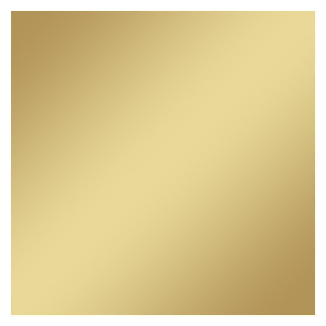 PlottiX SpeedFlex Metallic - 32cm x 50cm Champagner (PL0702301)