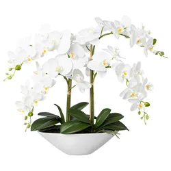 Kunstpflanze Orchideen Weiß/Grün