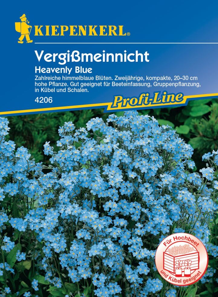 Pflanzen Kiepenkerl Vergissmeinnicht Heavenly Blue