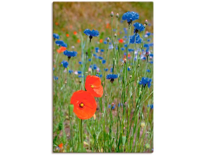 Leinwandbild ARTLAND Wiese mit Mohnblumen und Kornblumen , bunt (farbe bild(er): bunt), B:20cm H:30cm, Bilder, Leinwandbild, auf Holzrahmen gespannt