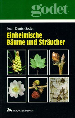Jean-Denis Godet - Einheimische Bäume und Sträucher - Preis vom 14.10.2026 23:07:16 h