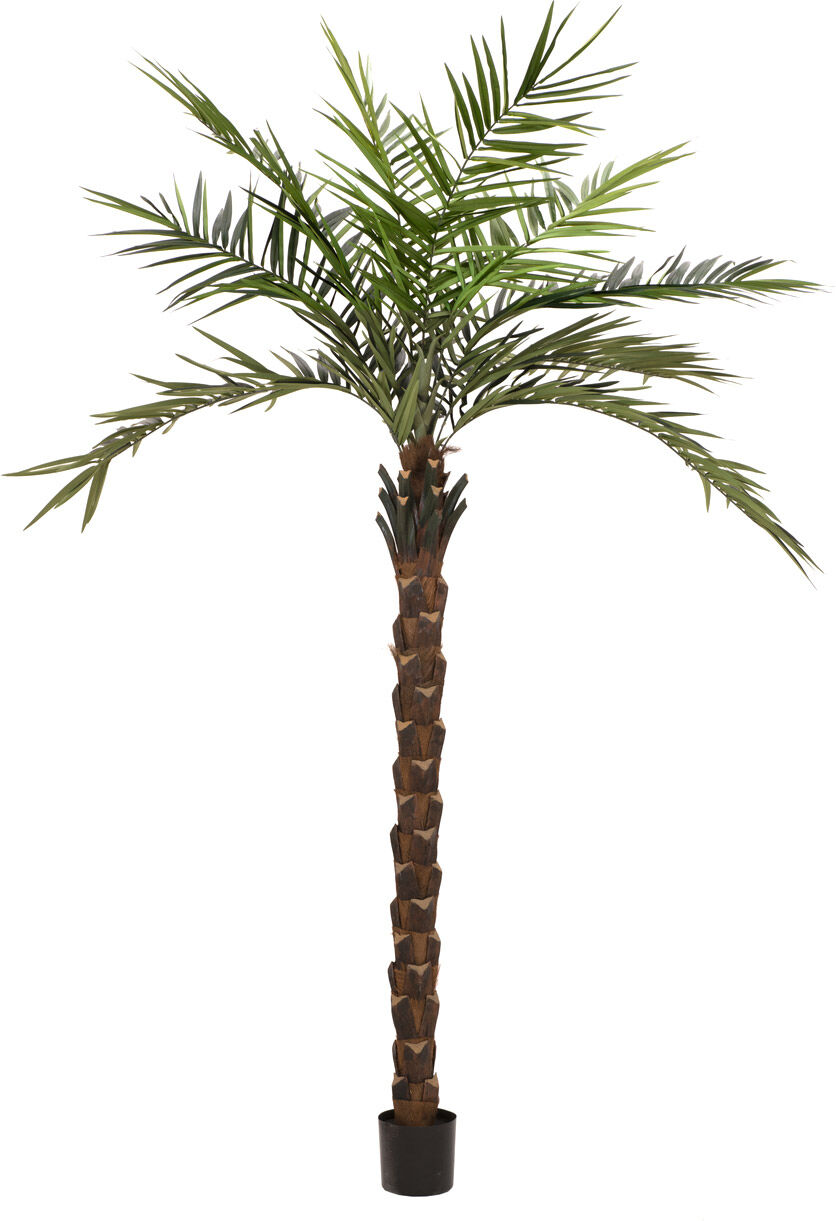 Europalms Kentia Palme Deluxe, Kunstpflanze 300cm