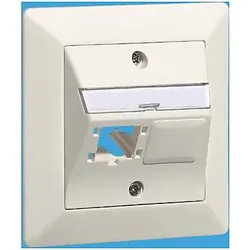 R&M UP-Global-Dose 88x88, 2x1 Port 310788