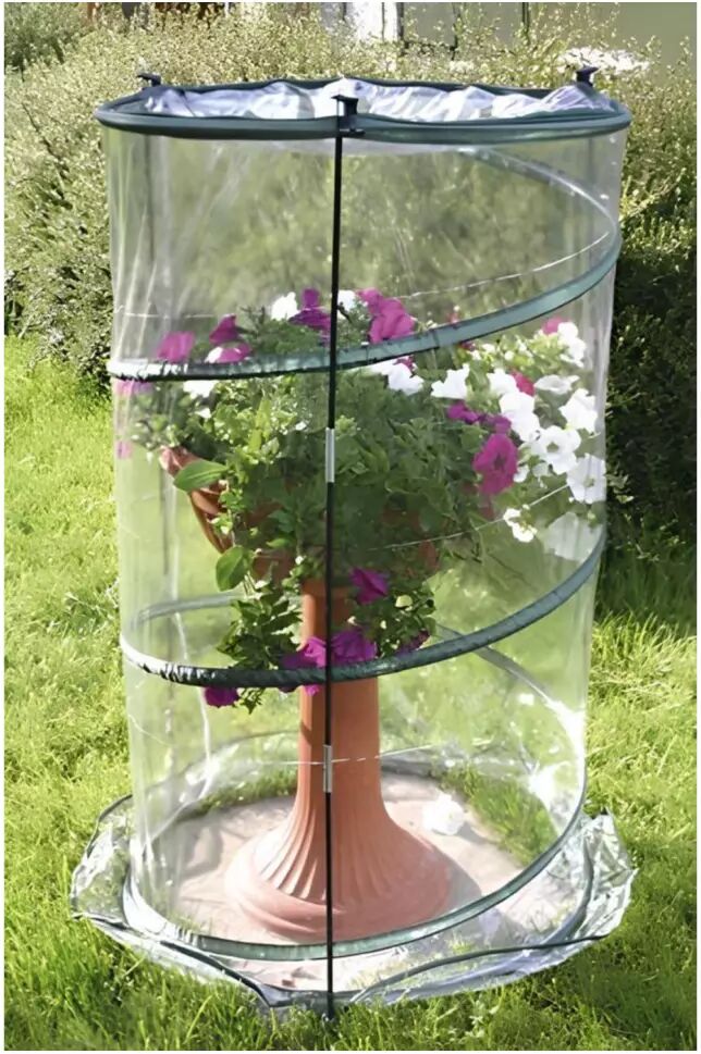 Verdemax ANTHURIUM POP-UP 70X110