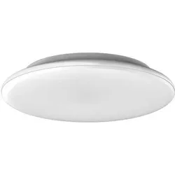 RZB, Deckenleuchte, LED-Wand-/Deckenleuchte (1100 lm)