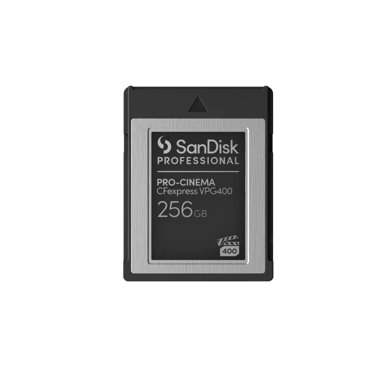 SanDisk PRO-CINEMA Speicherkarte 256 GB SDPCVN4-256G-GNANN