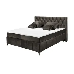 Kollektion Kraft Boxspringbett  Pembroke ¦ braun ¦ Maße (cm): B: 200 H: 121
