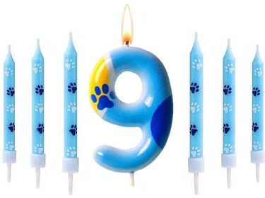 Uplift Treasures Blue Dog Paw Number Birthday Cake Candle 9
