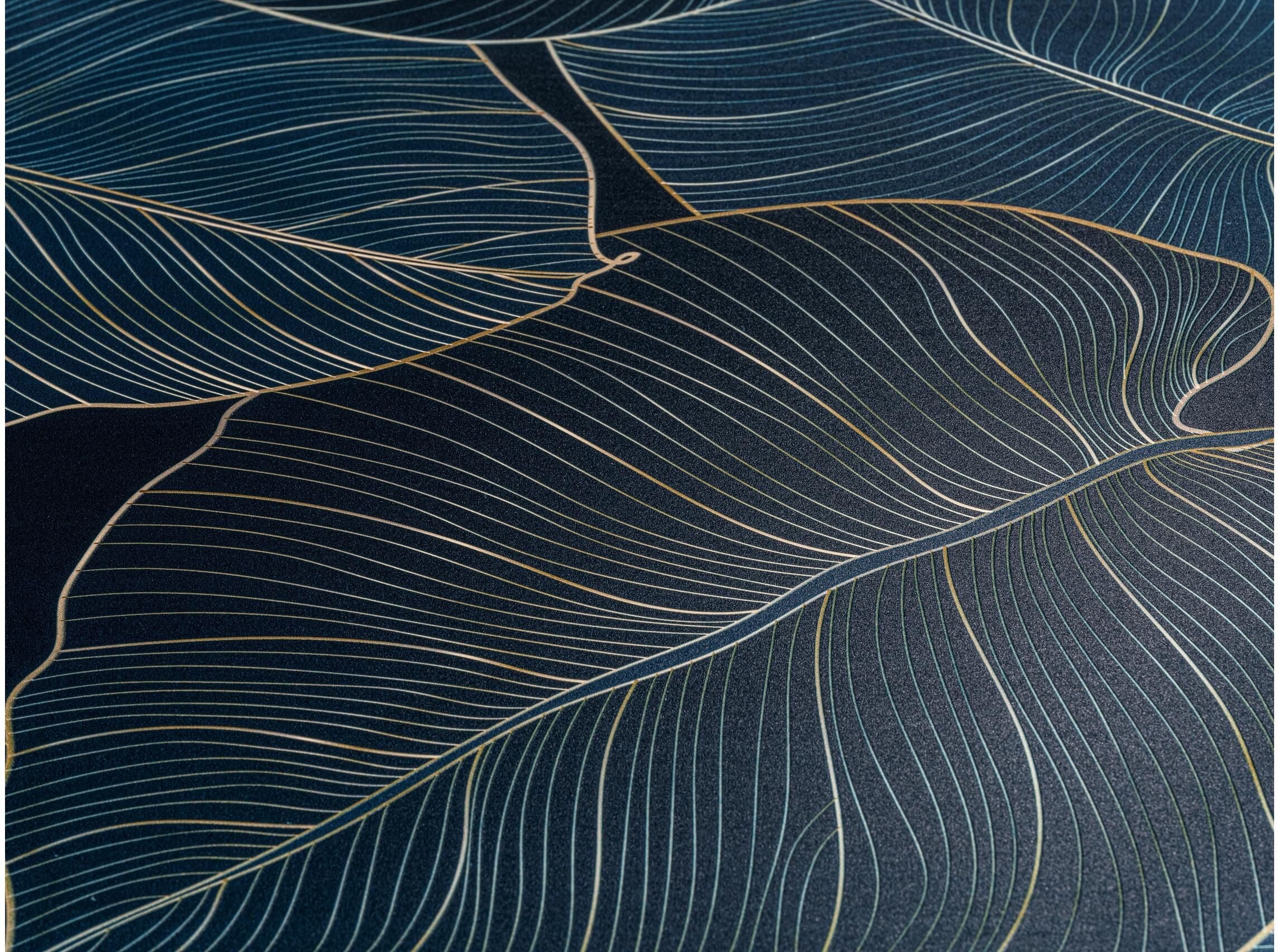 WC-Sitz WENKO "Big Leaves Absenkautomatik, Blau/Grün", bunt (blau, grün), B:38cm L:44,5cm, Duroplast, WC-Sitze, WC-Sitz blau, grün Einheitsgröße
