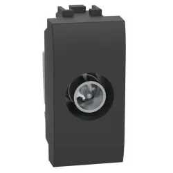 Legrand L4202P14N LivingLight TV-Dose für Durchgangsanschluss 1-modulig in der Farbe ANTHRAZIT