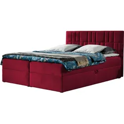 BOXBETT Top 3 - H3