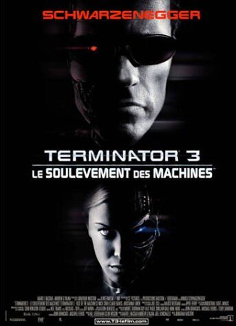 Jonathan Mostow - Terminator 3, Le Soulèvement des machines [VHS] [FR Import] - Preis vom 11.10.2026 03:10:56 h