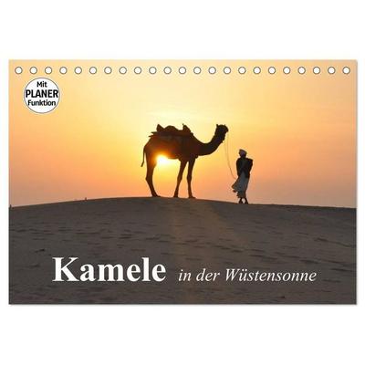 Kamele in der Wüstensonne (Tischkalender 2027 DIN A5 quer), CALVENDO Monatskalender