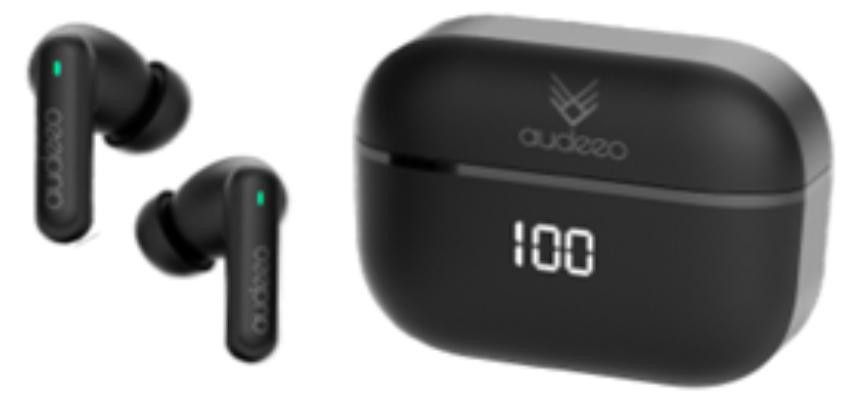 Audeeo AOAERO Noise Cancelling TWS oortjes