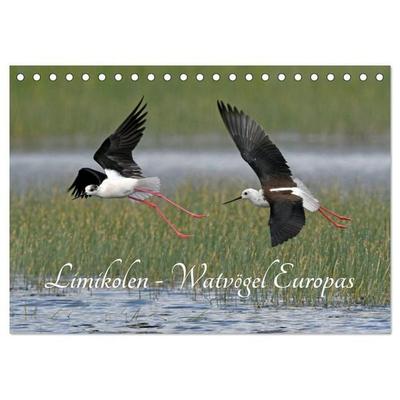 Limikolen - Watvögel Europas (Tischkalender 2026 DIN A5 quer), CALVENDO Monatskalender