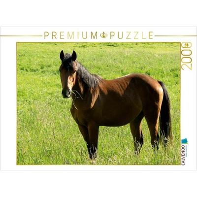 CALVENDO Puzzle Pferd auf der Weide 2000 Teile Puzzle quer | 2000 Teile Lege-Größe 90 × 67 cm Foto-Puzzle für glückliche Stunden, von , Calvendo