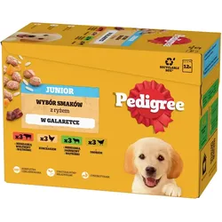 PEDIGREE Junior Mix Aromen in Gelee 12x100g