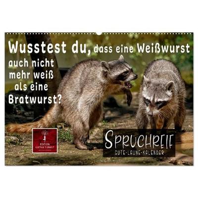 Spruchreif - Gute-Laune-Kalender (Wandkalender 2027 DIN A2 quer), CALVENDO Monatskalender