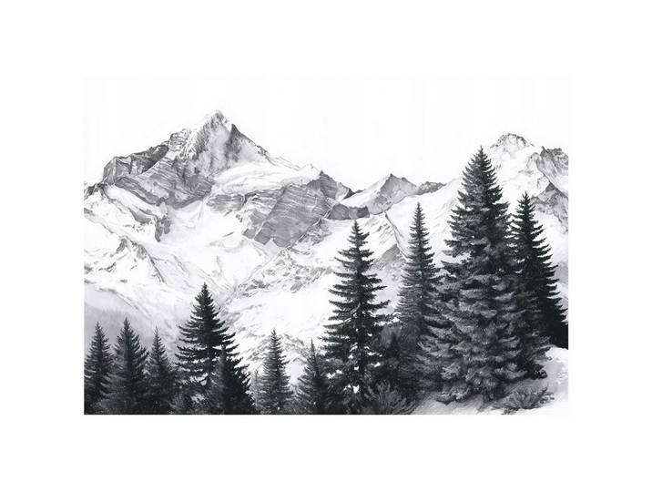 FOTOTAPETE Gebirge Wald Schwarzweiß 300x210 cm