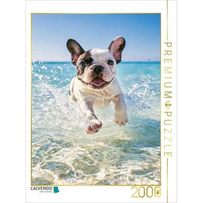 CALVENDO Puzzle Pfoten im Sand und Meer | 2000 Teile Lege-Größe 90 × 67 cm Foto-Puzzle für glückliche Stunden, von , Calvendo Puzzle