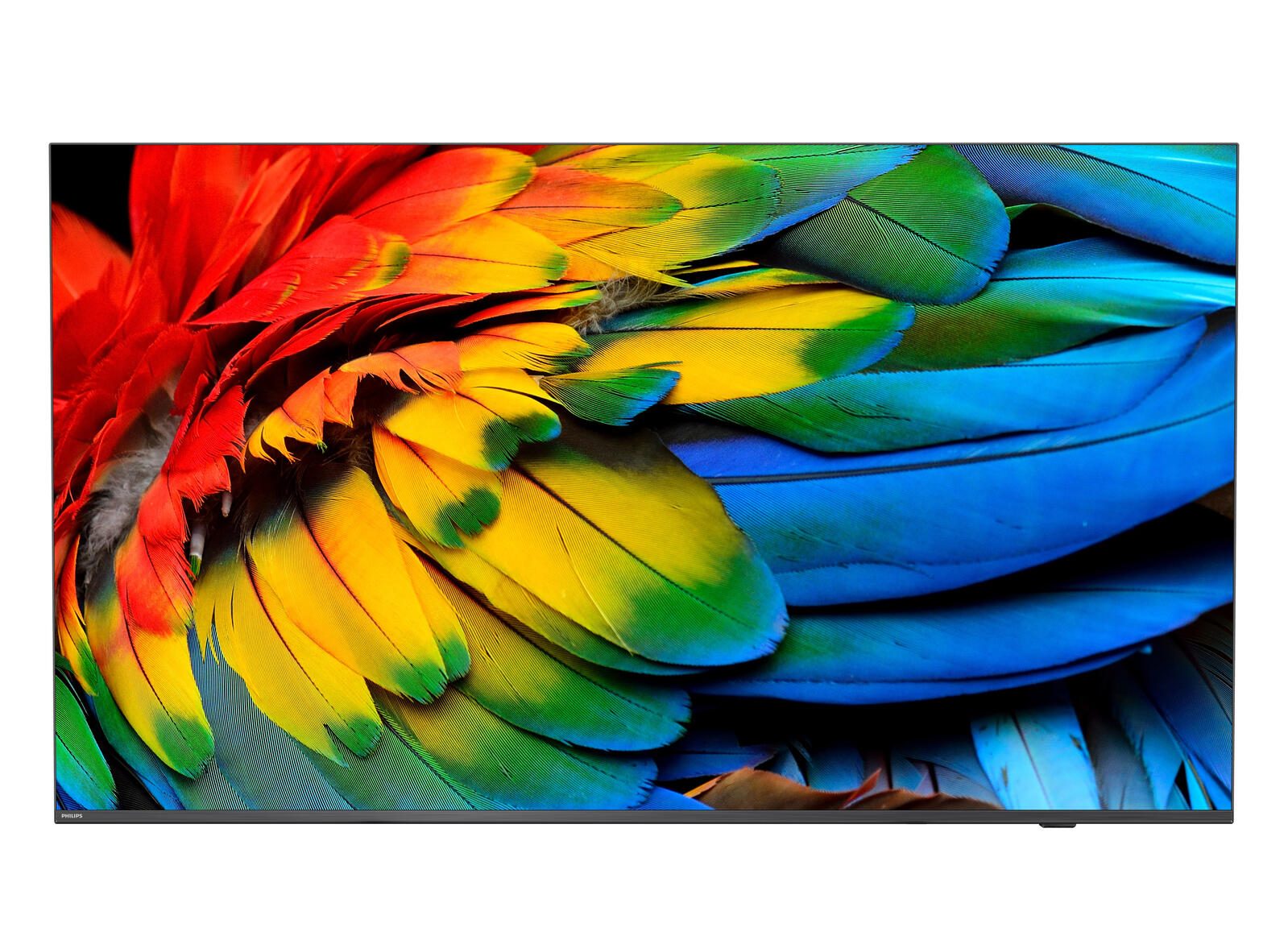 Philips MediaSuite 50HFL6214U/12 Professional TV 126 cm (50")