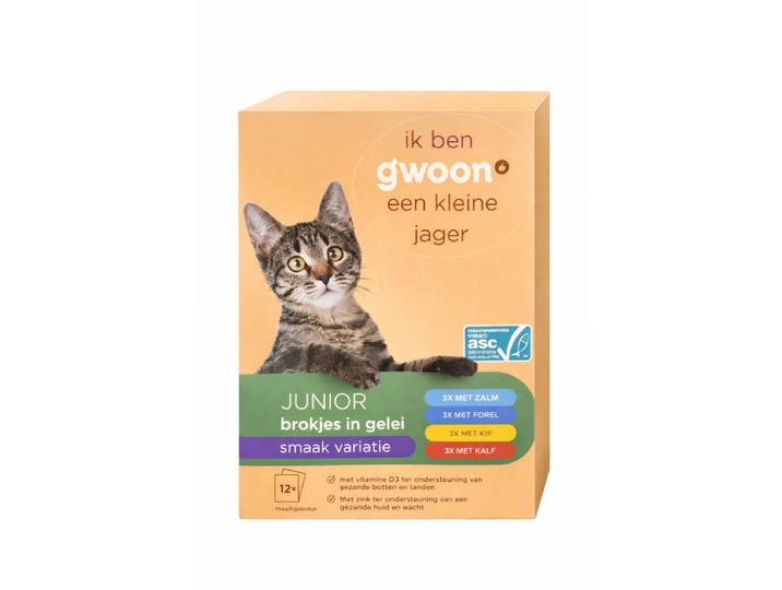 G'woon Brokjes in Gelei Vis en Vlees Variatie Junior 12 x 100 g