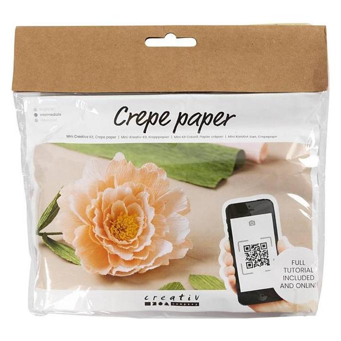 Creativ Company Mini Bastelset Krepppapier (977474)