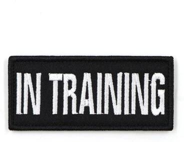 Uplifted Finds "Tactical ""Mission Ready"" Escape Proof Training Harness patch C"