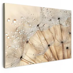 LEINWANDBILD Löwenzahn - Abstrakt - Natur - Beige Gemälde 60x40 cm