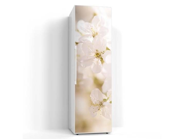 DEQORI Magnetfolie für Kühlschrank 60x200 cm Motiv Geöffnete Kirschblüten dekorative Magnetmatte Gefrierschrank Schutz Magnet Deko-Folie selbstklebend, magnetisch & wasserabweisend
