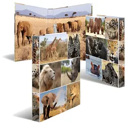Herma Ringbuch Karton 2D-Ring A4 35 mm Rückenbreite Afrika Tiere