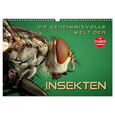 Die geheimnisvolle Welt der Insekten (Wandkalender 2026 DIN A3 quer), CALVENDO Monatskalender