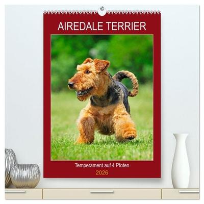 Airedale Terrier - Temperament auf 4 Pfoten (hochwertiger Premium Wandkalender 2026 DIN A2 hoch), Kunstdruck in Hochglanz