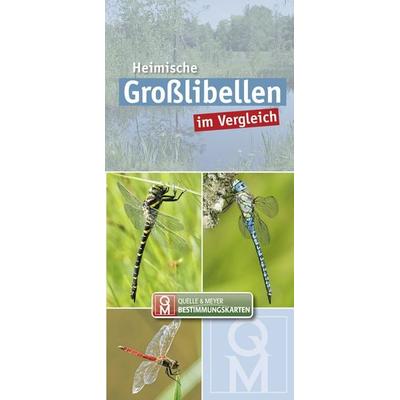 Heimische Großlibellen im Vergleich, Sonstige von , Quelle & Meyer, 978-3-494-01996-3