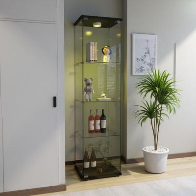 ZWYO HOSIMU "64.45""H Modern Glass Display Cabinet with LED Lights, Tempered Glass 1-Door 4-Shelf Bookshelf, Cabinet for Living Room & Bedroom"