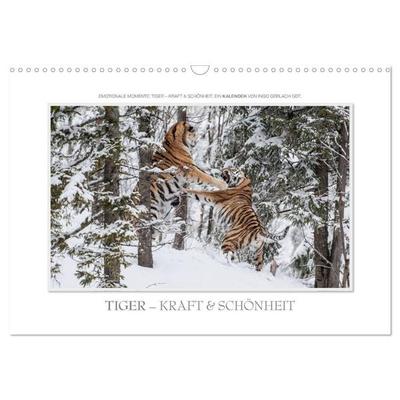 Emotionale Momente: Tiger - Kraft & Schönheit. / CH-Version (Wandkalender 2027 DIN A3 quer), CALVENDO Monatskalender
