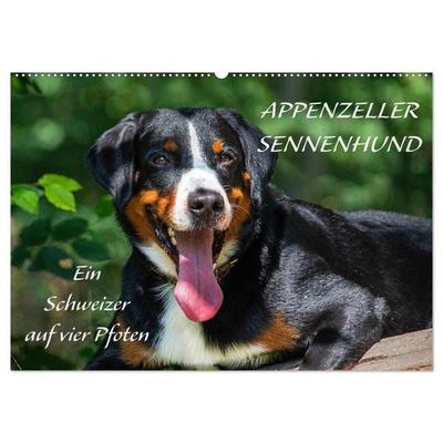 Appenzeller Sennenhund - Ein Schweizer auf 4 Pfoten (Wandkalender 2027 DIN A2 quer), CALVENDO Monatskalender