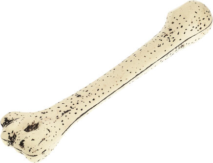 Knochen, 34 cm