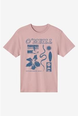 O'Neill s Kitchen Sink Classic T-Shirt T-Shirt in Deauville Mauve, Size Medium