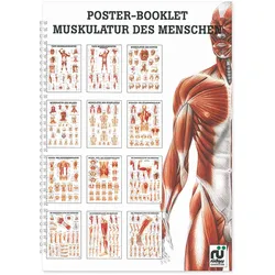 Mini-Poster Booklet: Muskulatur