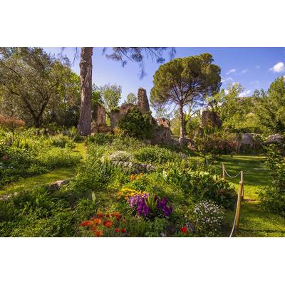 Fototapete PAPERMOON "Garten", bunt, B:4m L:2,6m, Vlies, Tapeten