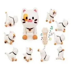 Artyk Robot Cat RC