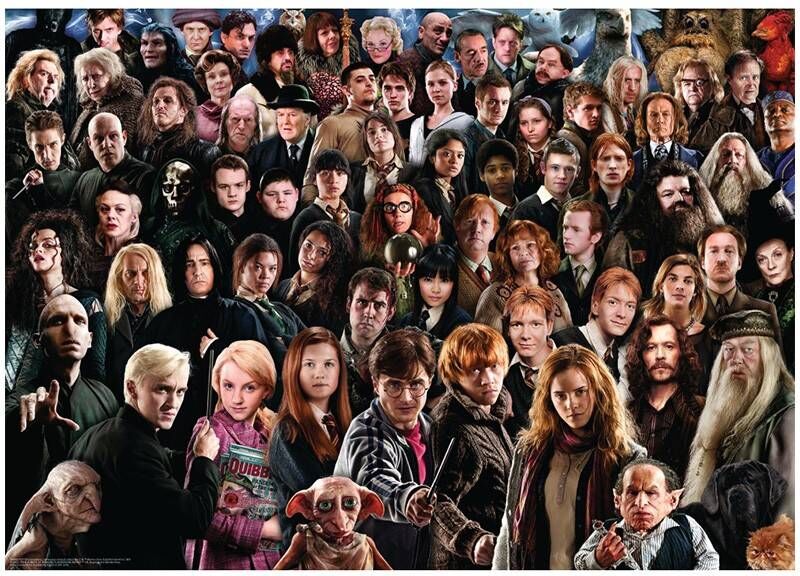 Ravensburger Puzzle 1000 pcs : Harry Potter (Challenge Puzzle)