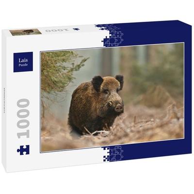 Lais Puzzle Wildschwein 1000 Teile