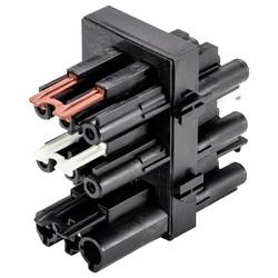 Wieland Electric 92.030.0153.1 Verteiler
