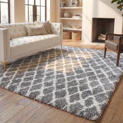 SAFAVIEH Berber Shag Ivah Rug
