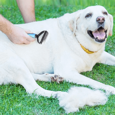 Dematting Brush For Pets Blue