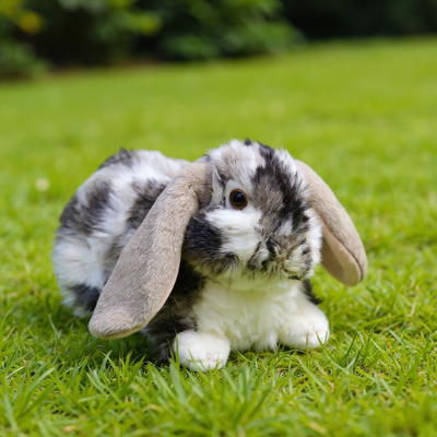 The Handy Homestead Soft Stuffed Animal Bunny Plush Rabbit Toy For Kids & Home Decor Soft Stuffed Animal Bunny Plush Rabbit Toy For Kids & Home Decor
